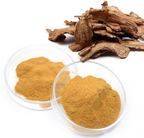 Angelica sinensis extract supplier